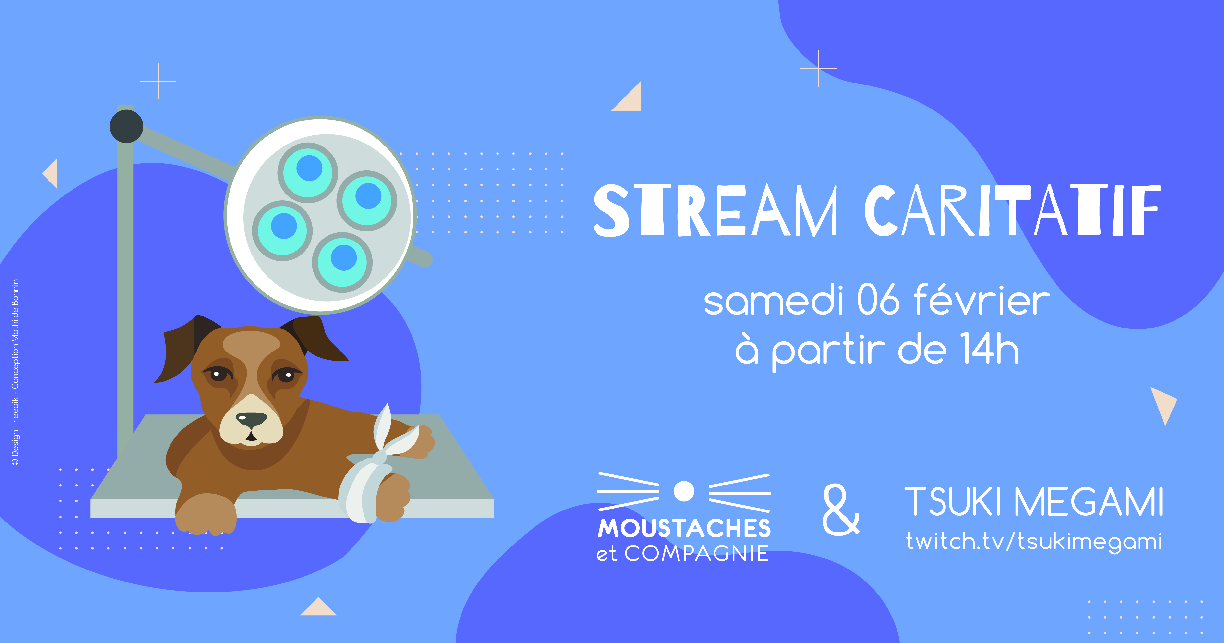 affiche stream caritatif moya 