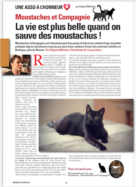 article animaux bonheur