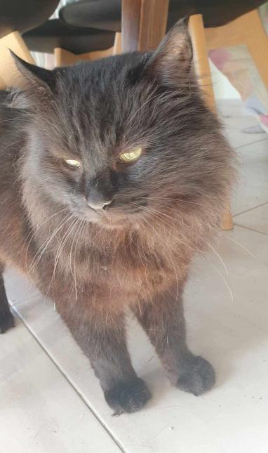 Hades
