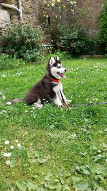 Anouk