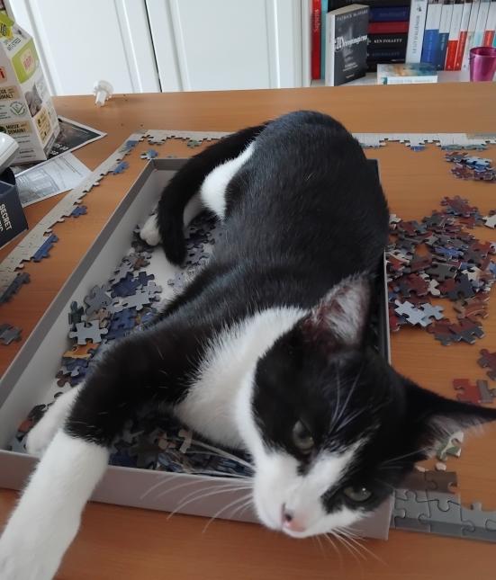 Felix