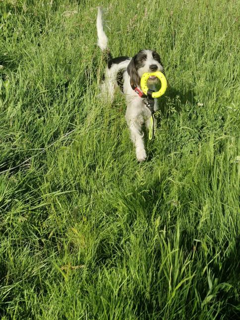 MARTY