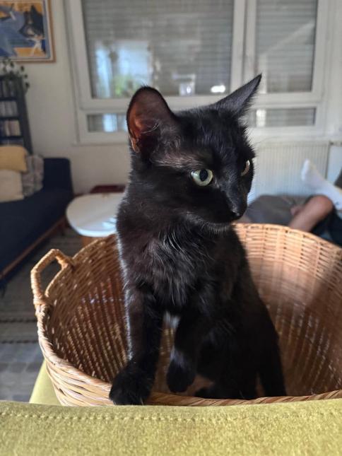 LUNA