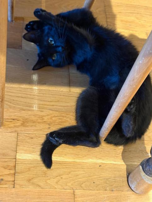 LUNA