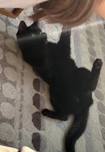 LUNA