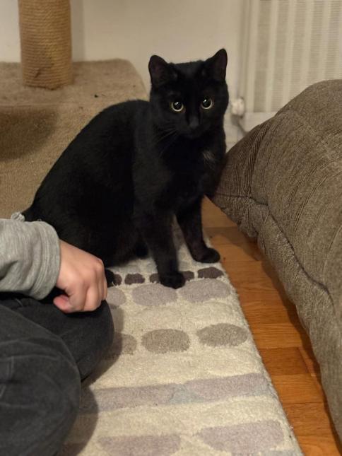 LUNA