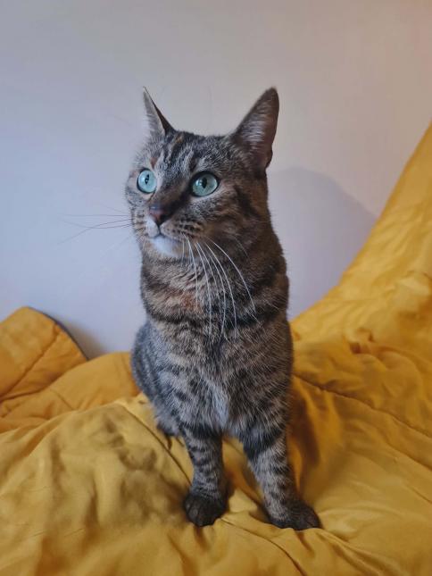 NALA