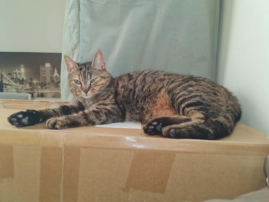 NALA