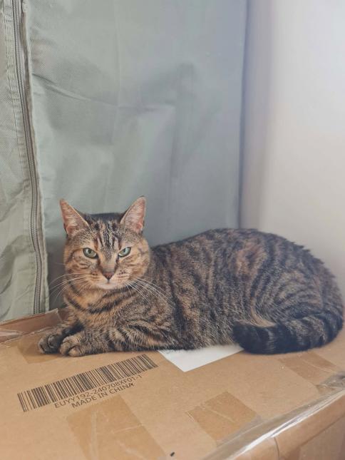 NALA