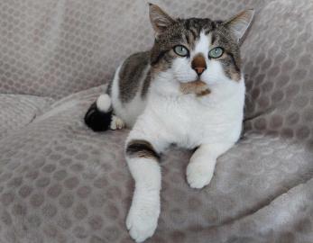 Titou