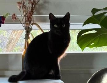 LUNA