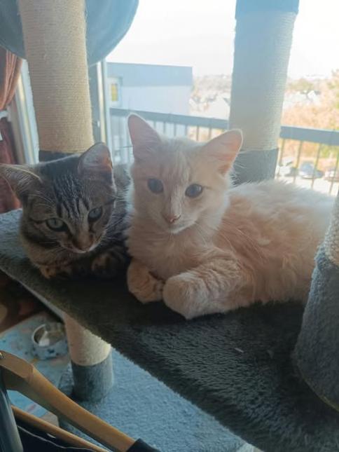 Misty et Max