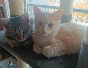 Misty et Max